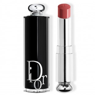 Помада для губ CHRISTIAN DIOR MAKE UP ADDICT №558 Bois de Rose