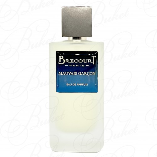Парфюмированная вода Brecourt MAUVAIS GARCON 100ml edp