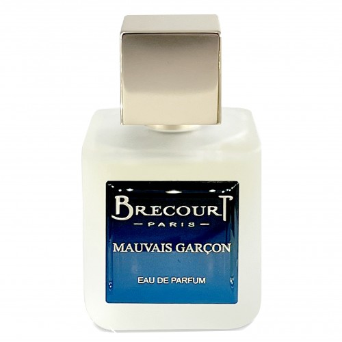 Парфюмированная вода Brecourt MAUVAIS GARCON 50ml edp