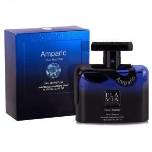 Flavia AMPARIO POUR HOMME 100ml edp