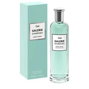 Art Parfum GALERIE D`AROMES CIEL 100ml edt