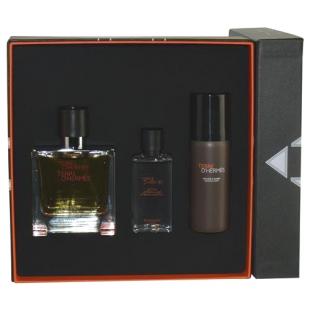 HERMES TERRE D`HERMES SET (edt 100ml+a/sh 40ml+sh/foam 50ml)