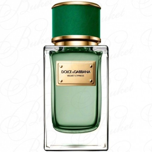Парфюмерная вода Dolce & Gabbana VELVET COLLECTION CYPRESS 50ml edp