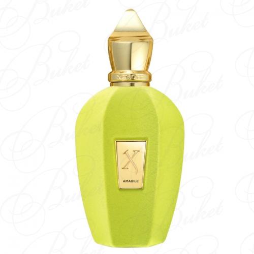Парфюмерная вода Xerjoff AMABILE 100ml edp