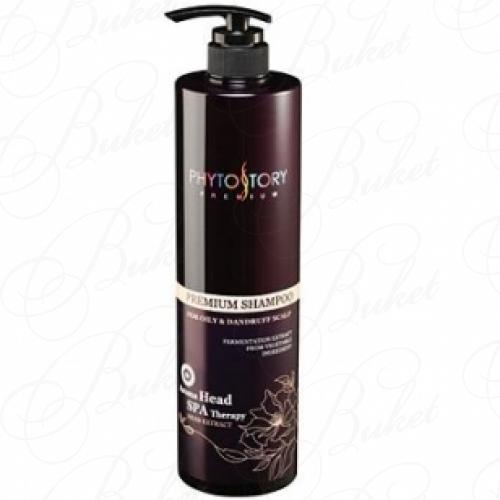 Шампунь для волос PHYTOSTORY Scalp Shampoo For Oily & Dandruff Scalp Type 500ml