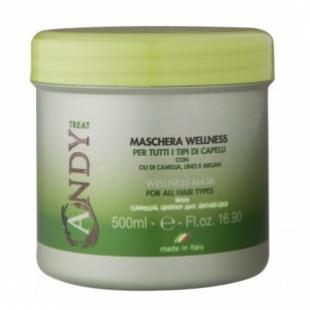 Маска для волос DIKSON ANDY MASCHERA WELLNESS PER TUTTI I TIPI DI CAPELLI 500ml