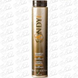 Шампунь для волос DIKSON ANDY SHAMPOO PURIFICANTE 250ml