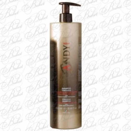 Шампунь для волос DIKSON ANDY SHAMPOO STIMOLANTE 1000ml