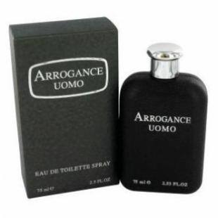 ARROGANCE UOMO GRIGIO 30ml edt