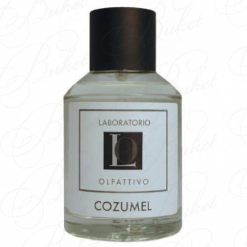 Парфюмерная вода Laboratorio Olfattivo COZUMEL 100ml edp