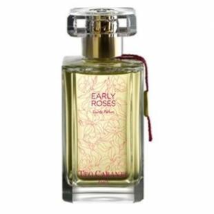 Teo Cabanel EARLY ROSES 100ml edp