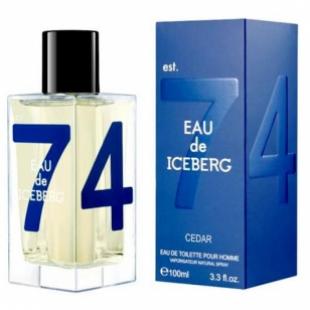 Iceberg EAU DE ICEBERG HOMME CEDAR 100ml edt