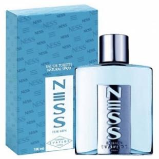 Evaflor NESS 100ml edt