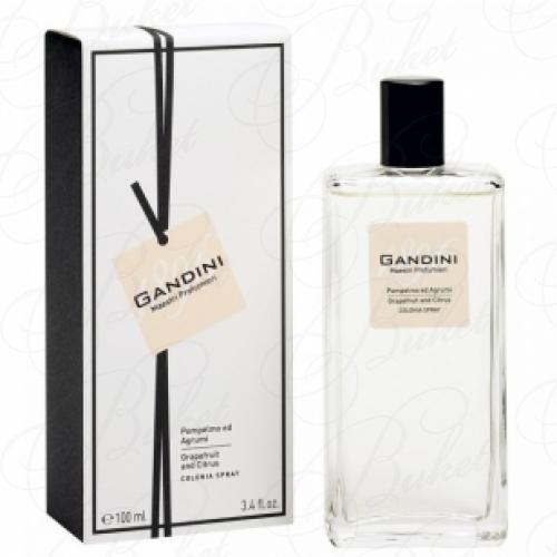 Туалетная вода Gandini 1896 GRAPEFRUITS & CITRUS 50ml edt