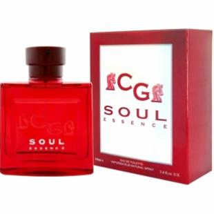 Christian Gautier SOUL ESSENCE 100ml edt TESTER