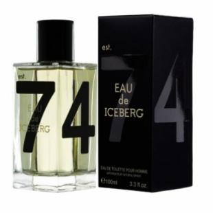 Iceberg EAU DE ICEBERG HOMME 100ml edt