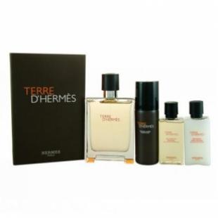 HERMES TERRE D`HERMES SET (edt 100ml+a/sh balm 40ml+sh/foam 50ml+sh/gel 40ml)