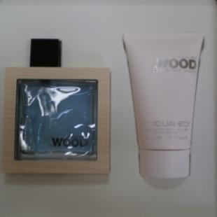 DSQUARED2 HE WOOD OCEAN WET SET (edt 100ml+sh/gel 100ml)