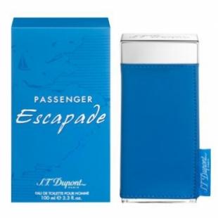 Dupont PASSENGER ESCAPADE HOMME 100ml edt