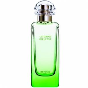Hermes UN JARDIN SUR LE TOIT 100ml edt