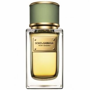 Dolce & Gabbana VELVET COLLECTION BERGAMOT 50ml edp