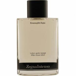 Ermenegildo Zegna ZEGNA INTENSO a/sh 100ml