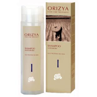 Шампунь для волос ORIZYA SHAMPOO ANTIFORFORA 250ml