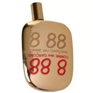Comme Des Garcons 888 100ml edp