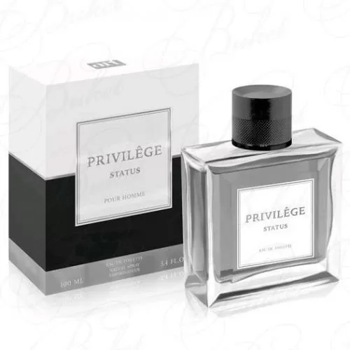 Туалетная вода Art Parfum PRIVILEGE STATUS 100ml edt