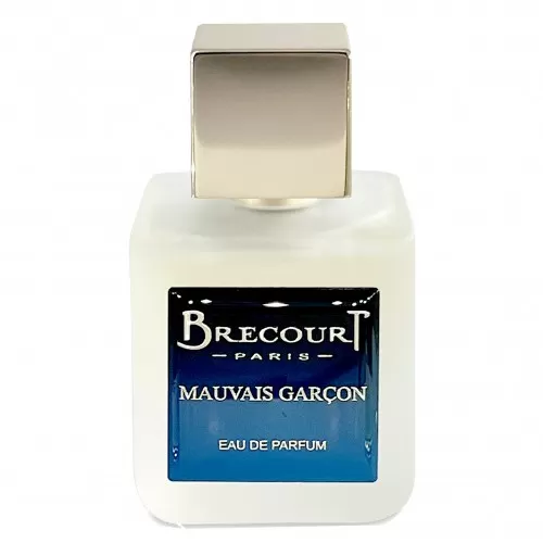 Парфюмированная вода Brecourt MAUVAIS GARCON 50ml edp