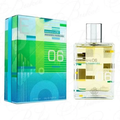 Парфюмированная вода Fragrance World ESSENTRIC 06 100ml edp