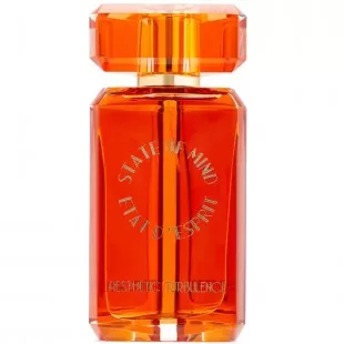 State of Mind AESTHETIC TURBULENCE 100ml edp
