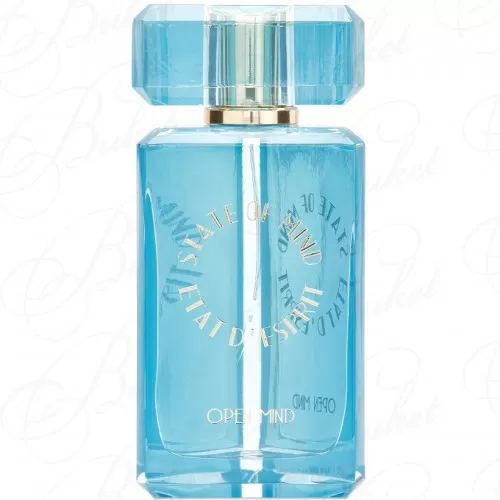 Парфюмерная вода State of Mind OPEN MIND 100ml edp
