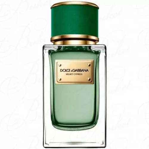 Парфюмерная вода Dolce & Gabbana VELVET COLLECTION CYPRESS 50ml edp