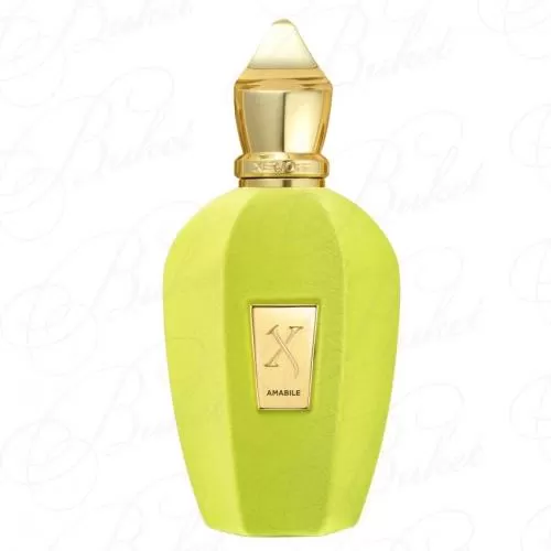 Парфюмерная вода Xerjoff AMABILE 100ml edp