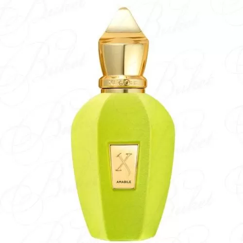 Парфюмерная вода Xerjoff AMABILE 50ml edp