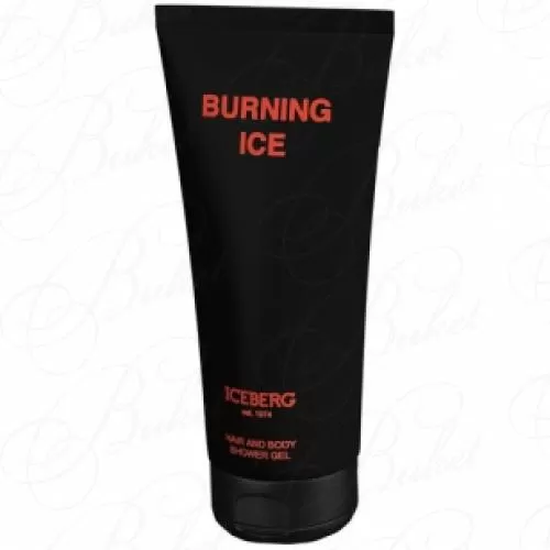 Гель для душа Iceberg BURNING ICE sh/gel 200ml