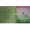 John Galliano PARLEZ MOI D`AMOUR EAU FRAICHE edt 1.5ml 