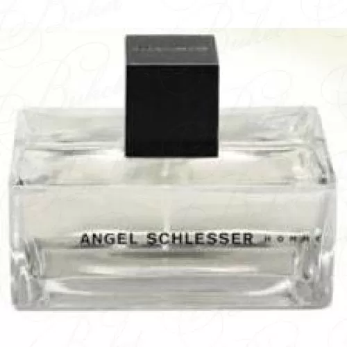 Туалетная вода Angel Schlesser MAN 125ml edt